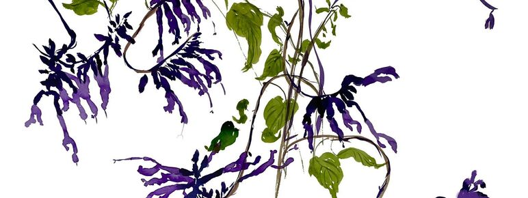 Abstract watercolor painting of intertwining vines with purple flower-like clusters and green leaves, against a stark white background.