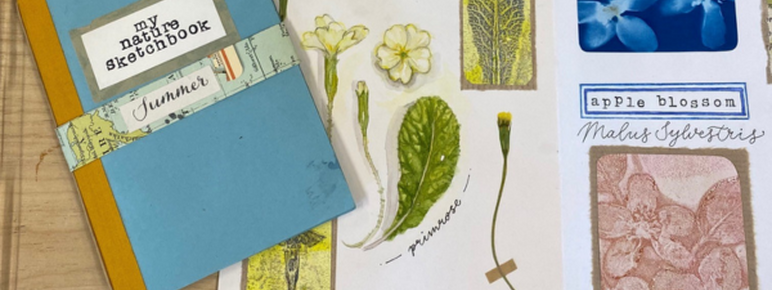 A top-down view of a light blue "My Nature Sketchbook" with a yellow spine, bound with a decorative paper band labelled "Summer." Next to it, an open page from a similar sketchbook displays various botanical art pieces. On the left side of the open page, there are illustrations of a primrose, a pressed leaf, and a small yellow dandelion-like flower, with the word "primrose" handwritten below. Below these are framed prints and a label reading "primula vulgaris." The right side features a blue cyanotype print of flowers labelled "apple blossom / Malus Sylvestris" and a textured pink print of leaves.