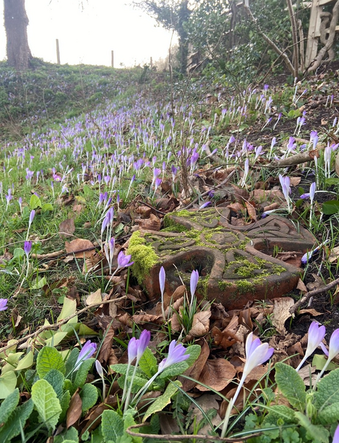 Partially overgrown terracotta cross surrounded by bluebells