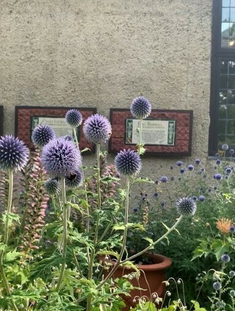 Purple flowers in bloom outside Watts Sculpture Gallery