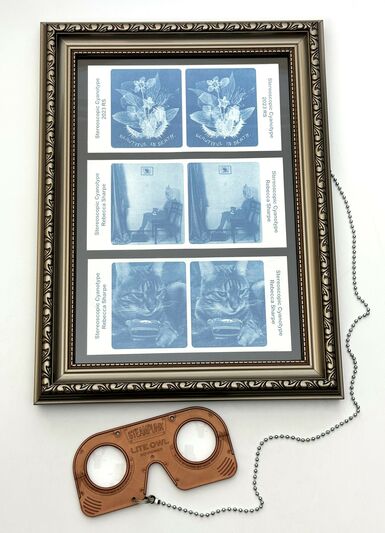 Photo of a picture frame with three stereoscopic cyanotypes displayed inside.