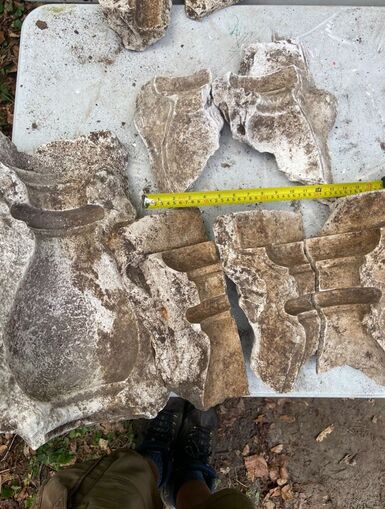 Photo of fragments of a pottery mould made from plaster of Paris