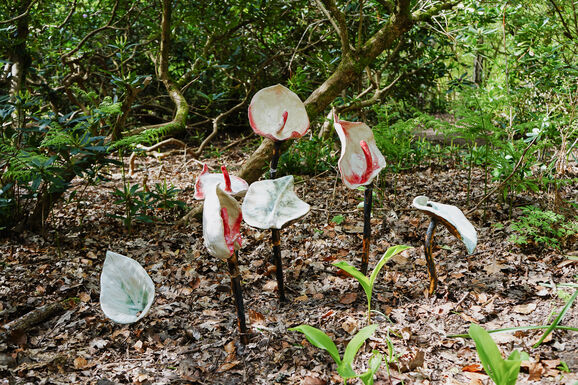 Photo of ceramic peace lily sculptures situated in a woodland setting, coming out of the ground