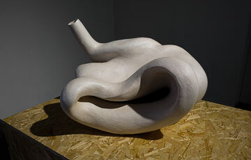 Abstract ceramic piece which takes on a similar form to a small intestine