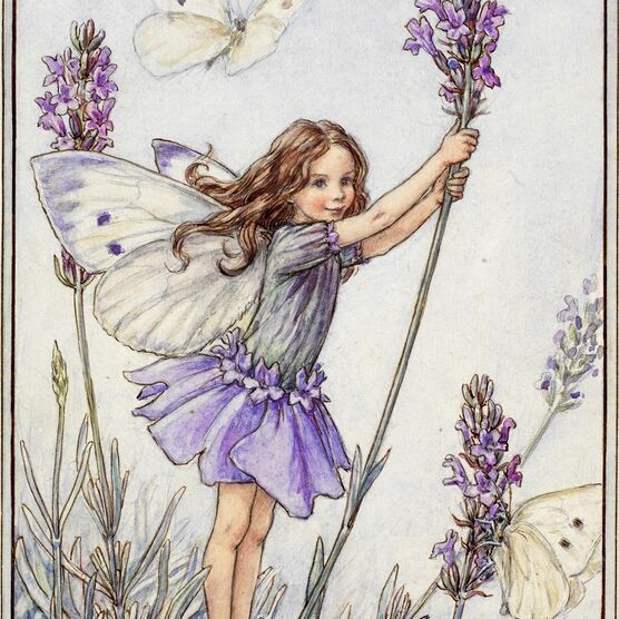 The Lavender Fairy © The Estate of Cicely Mary Barker, 1944