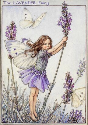 The Lavender Fairy © The Estate of Cicely Mary Barker, 1944