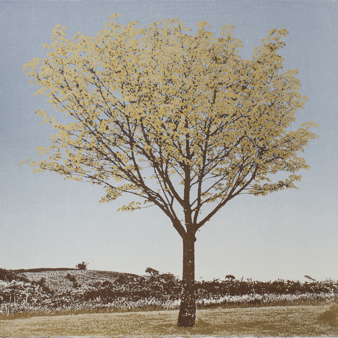 A sepia toned print of a tree with gold leaves