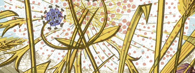 Book cover with the title 'The Book of Wild Flowers' by Angie Lewin and Christopher Stocks