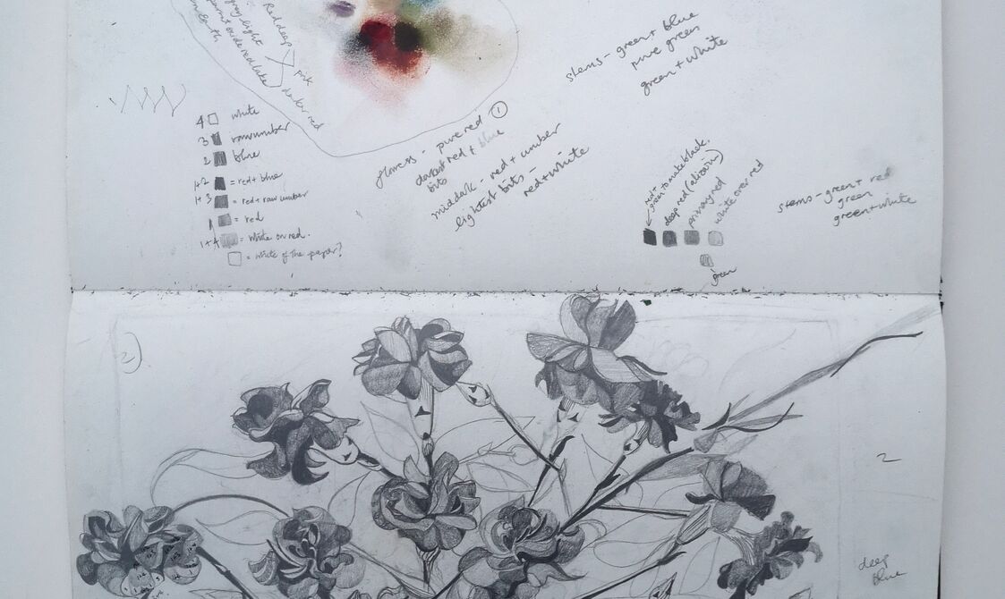 The sketch of carnations drawn in pencil in a plain white sketchbook