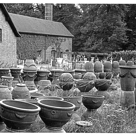 A selection of pots on a lawn