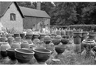 A selection of pots on a lawn
