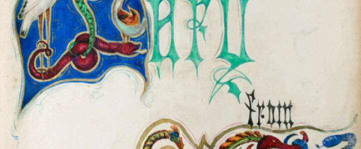 Illustrated colourful designs on paper