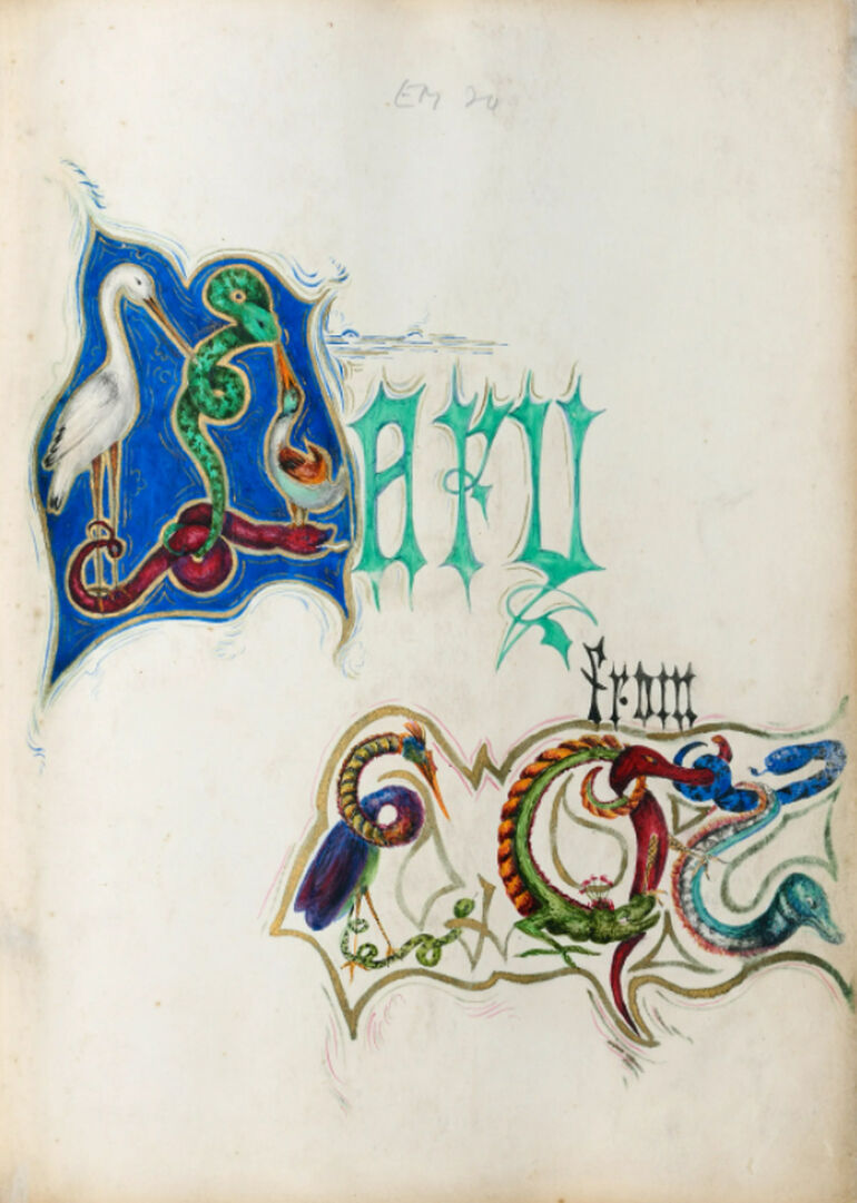 Illustrated colourful designs on paper