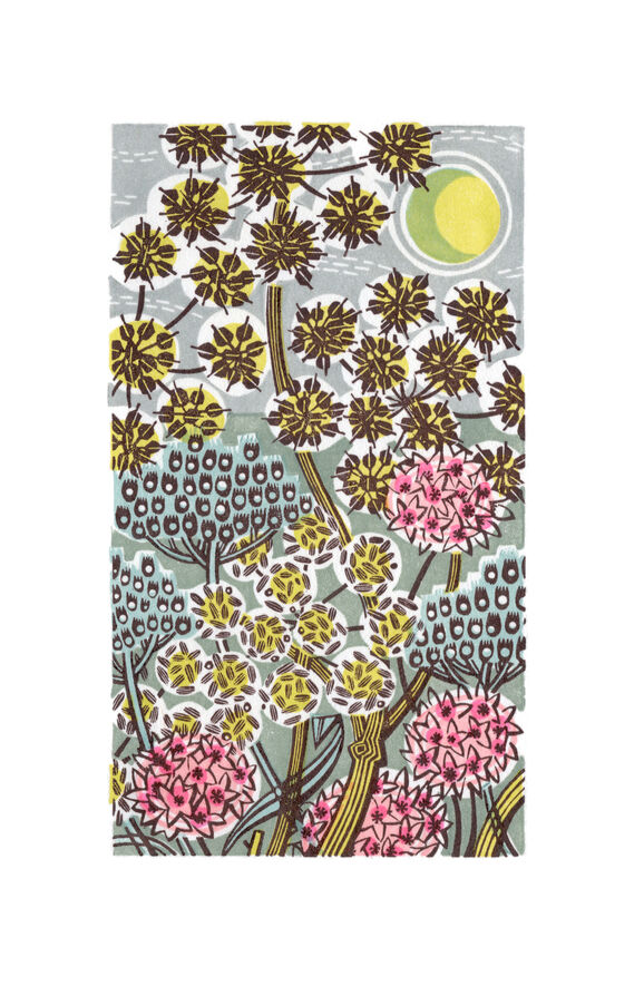 Wood engraving by Angie Lewin of thrift flowers with a moon in the top corner of the image