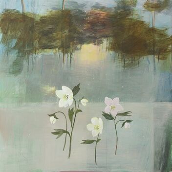 Painting by Fiona Millais of white and pink hellebore flowers with a blue background