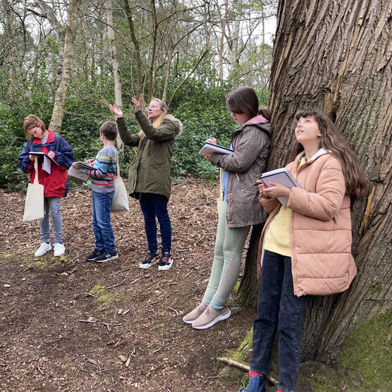 Children gather round the base of a tree sketching and looking up