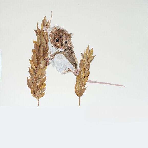 Artwork of harvest mouse
