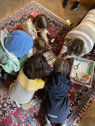 Children look for bugs in Limnerslease