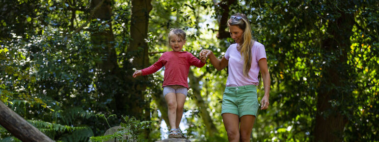 Mother and child playing in a woodland playground