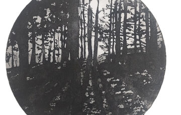 High-contrast etching of a forest with light coming through the trees