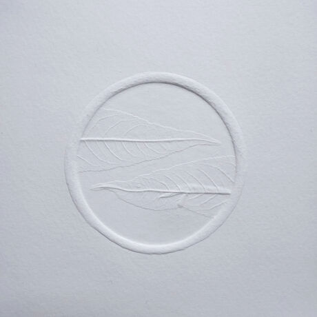 Embossed paper depicting feathers