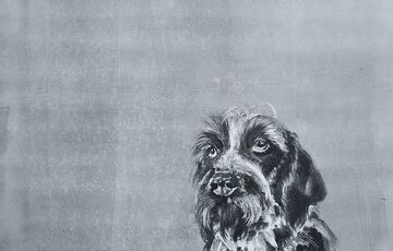 Monotype of a black and white dog. The background is blank and white
