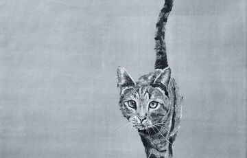 Print of a cat walking. The background is blank and white