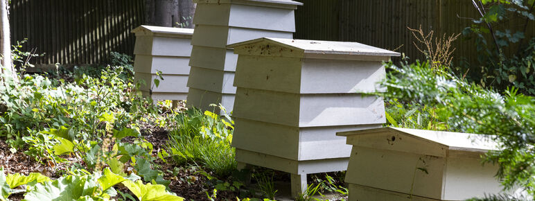 Bee hives at Watts Gallery