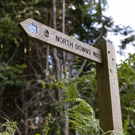 Wooden sign reads "North Downs Way" with an arrow