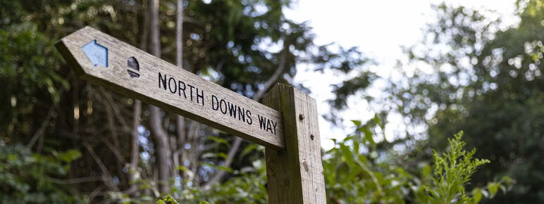 Wooden sign reads "North Downs Way" with an arrow