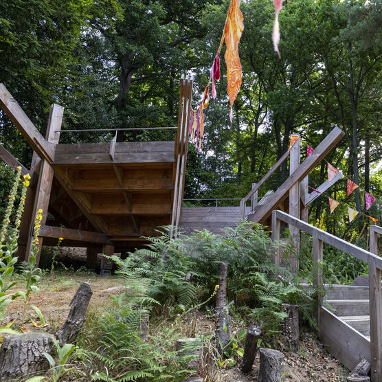 Wooden auditorium in woodlands