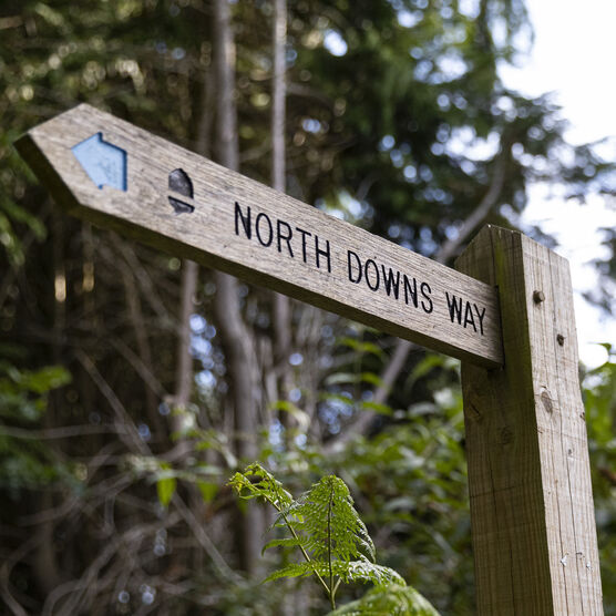 North Downs Way sign