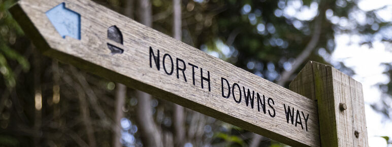 North Downs Way sign