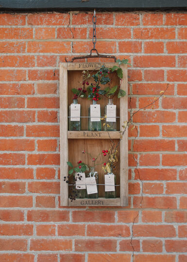 A photograph of a brick wall with a two shelves on. Displayed on the shelves are little bottles which has cuttings of autumnal flowers and plants, such as blackberries and red berries.
