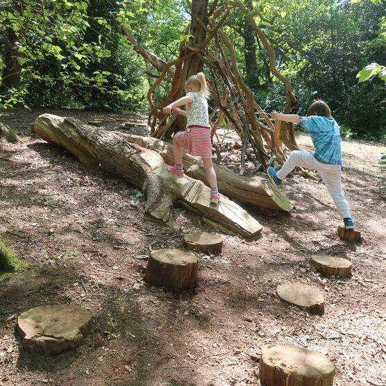 Two children jump from wooden stepping stones in woodland