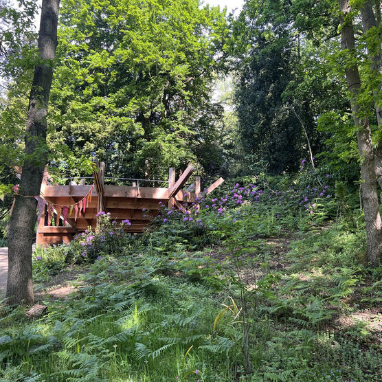 Wooden auditorium surrounded by green woodlands and pink flowers