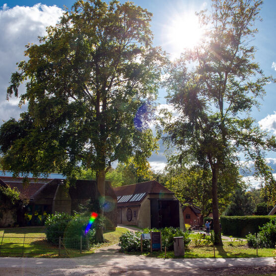 Outside of Watts Gallery - Artist's Village with trees and buildings