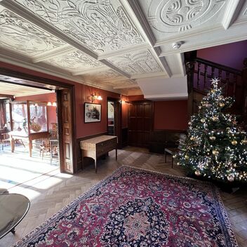 Christmas tree with fairy lights in Limnerslease