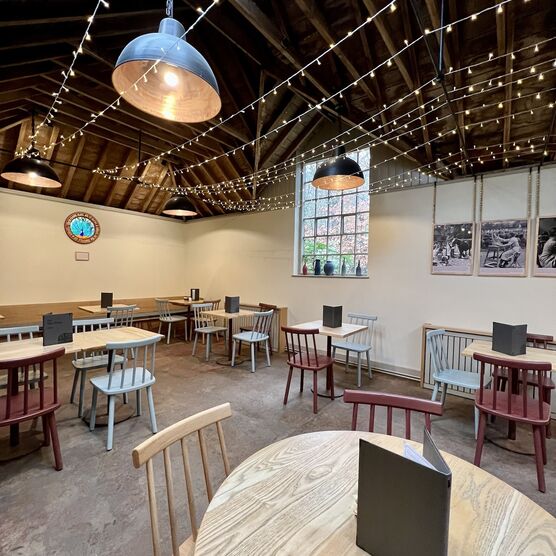 Tables and chairs in the tea shop with a wooden ceiling and lamps