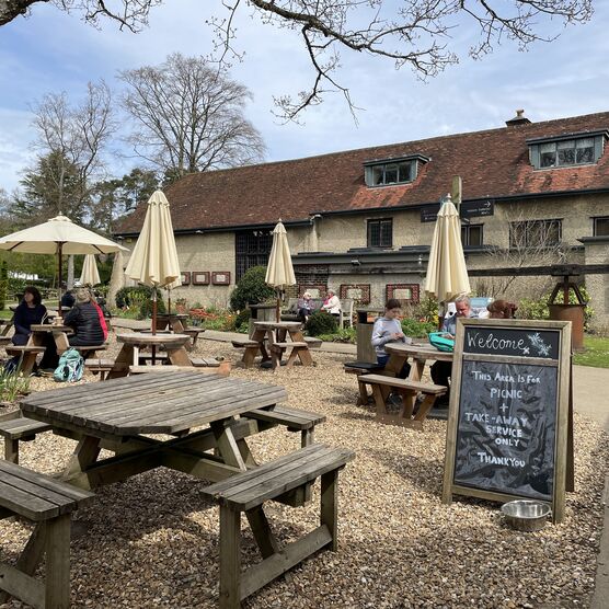 Tea Shop benches outside