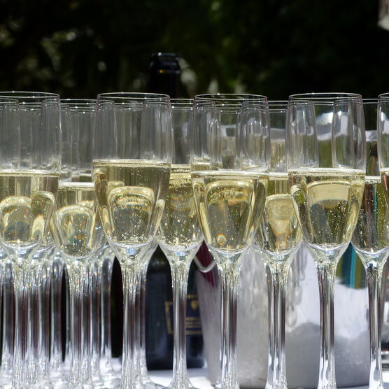 Champagne glasses